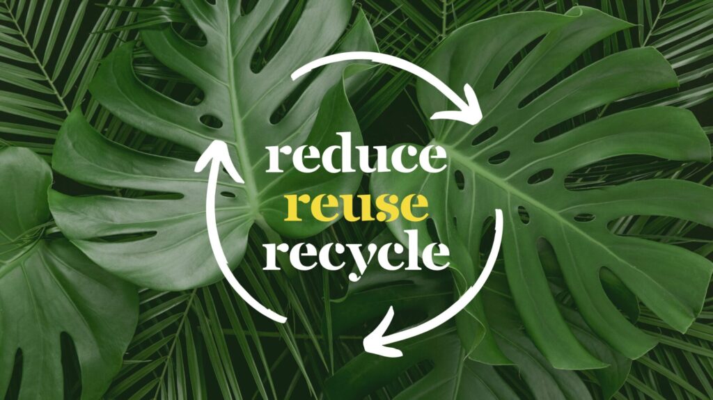 Sustainability Post