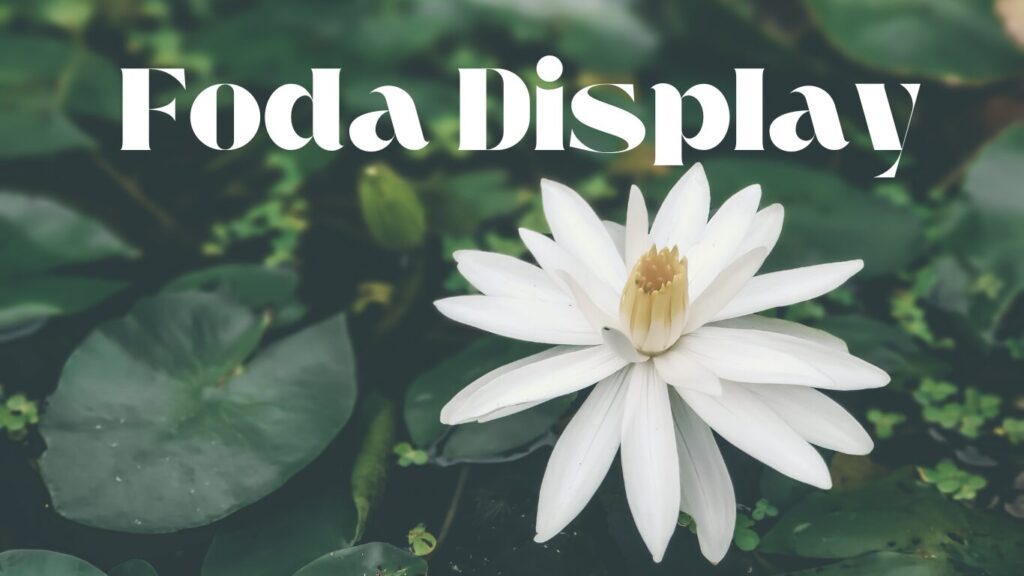 10 Luxury Fonts in 2025