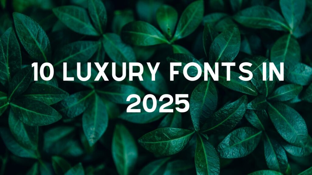 NotoSerif 10