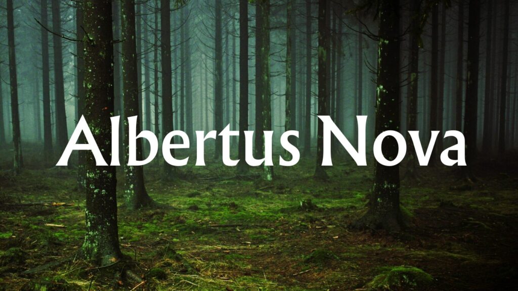 10 Luxury Fonts in 2025