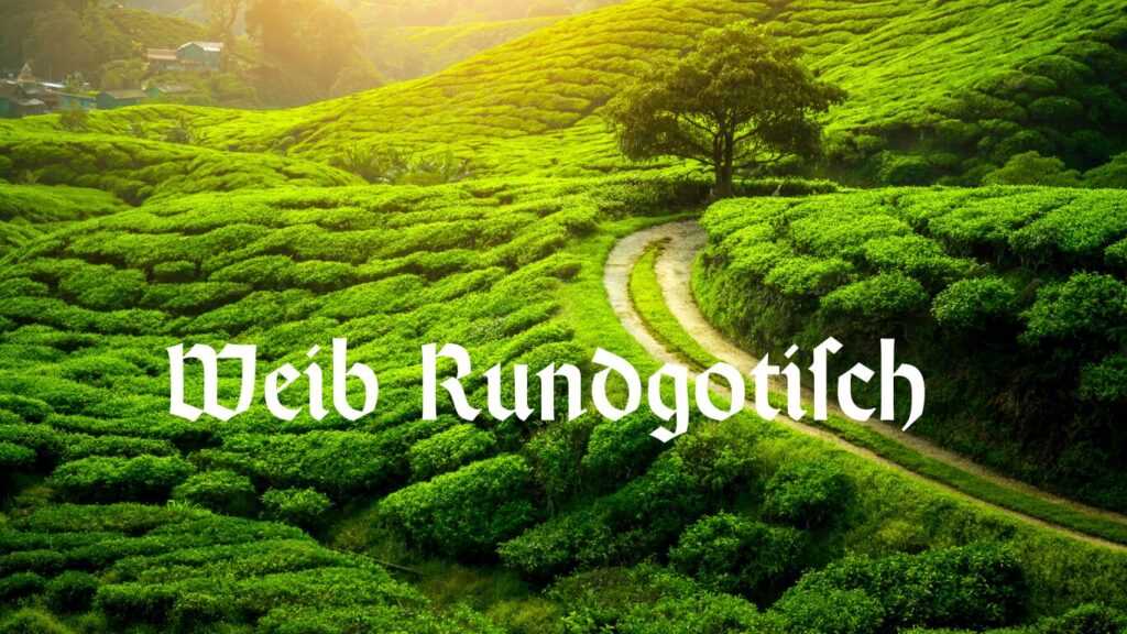 10 Luxury Fonts in 2025