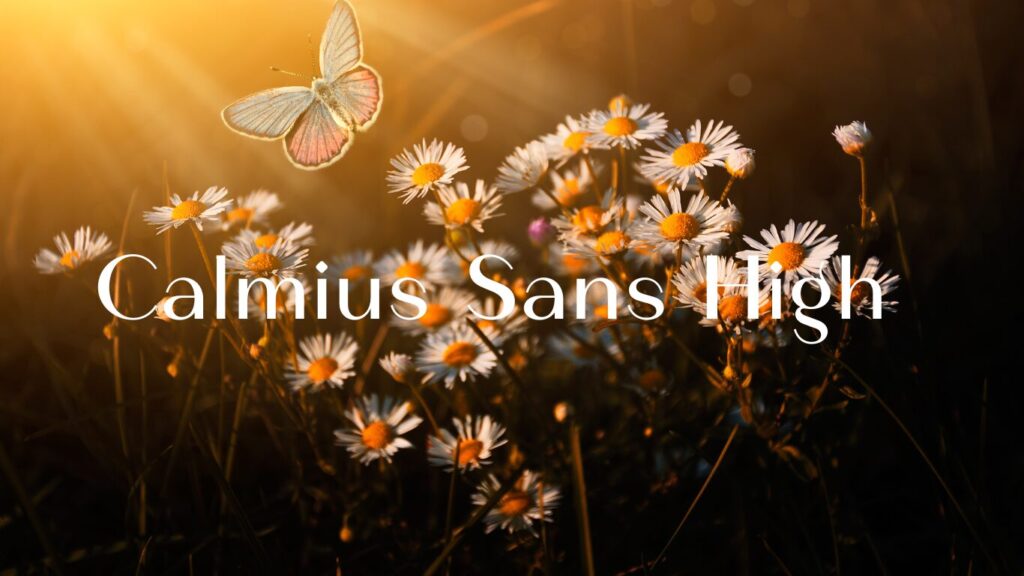 10 Luxury Fonts in 2025