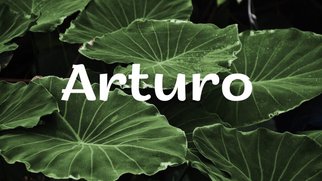 10 Luxury Fonts in 2025