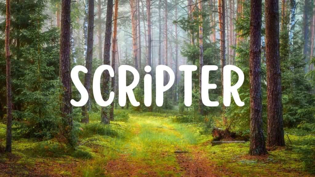 10 Luxury Fonts in 2025